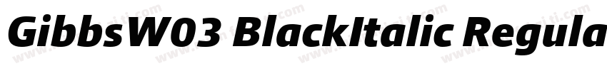 GibbsW03 BlackItalic Regular字体转换